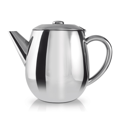 Everyday Steel Teapot 17oz