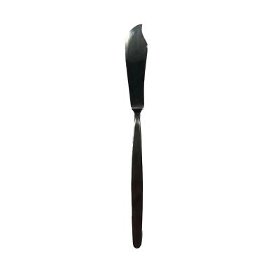 Economy 999P Fish Knives