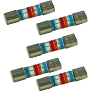 Truma Fuse F1 (6.3AT) (5pk)