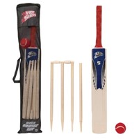 Cricket set (size 5)