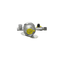 GOK 50mbar regulator