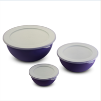 Omada Violet Sanaliving 3 piece Bowl Set