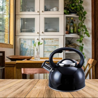 Liberty Black 2.5 Litre Whistling Kettle