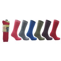 ProHike Ladies Wellington Boot Sock, Size 4-8, Assorted Colours