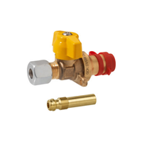 GOK BBQ Coupling Valve