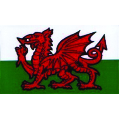 W4 Rectangle Welsh Dragon Sticker