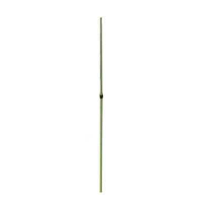 Windshield pro upright leg pole