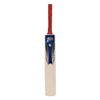 Cricket set (size 5)