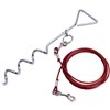 Quest Pet anchor with 4M lead