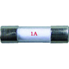 W4 20 x 5mm Fuse 1amp (3 pack)