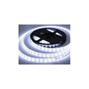 5M IP20 Cool White Light Strip 12V
