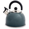 Hamilton slate stainless steel whistling kettle (2L)