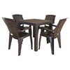 Flora 5 piece poly-propelene dining set (Expresso)