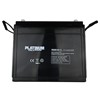 Platinum VRLA Battery PAGM145-12