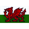 W4 Rectangle Welsh Dragon Sticker