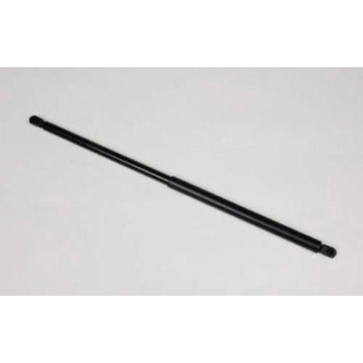 Reimo 450N Elevating Roof Gas Strut