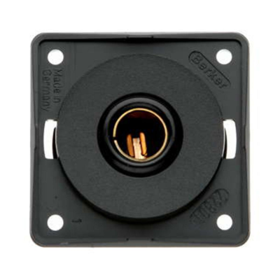 W4 Berker 12V Single Pole Socket - Anthracite