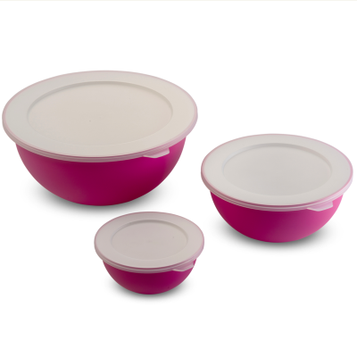 Omada Sanaliving Fuscia 3 Piece Bowl Set with Lids