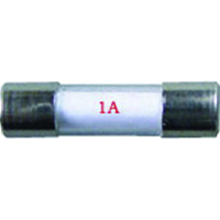 W4 20 x 5mm Fuse 1amp (3 pack)